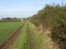 Photo A2 Field-side Path near