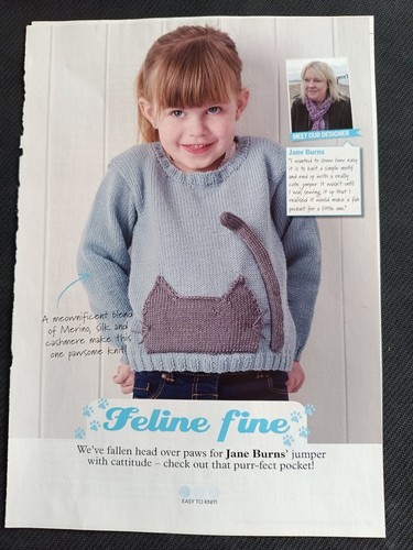 Kitty cat pocket knitting - kitty,