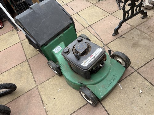 Harry petrol lawnmower briggs - petrol,