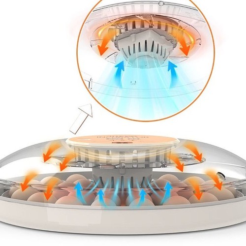 30x eggs incubator temperature - 30x,