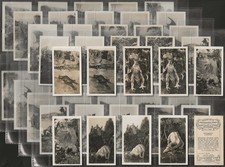 CAVANDERS-FULL SET- PEEPS INTO