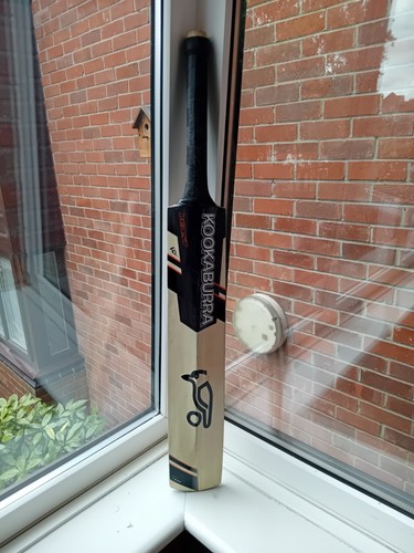 Kookaburra beast youth - beast,