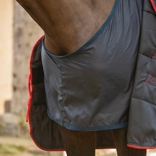Shires horse pony anti - shires,