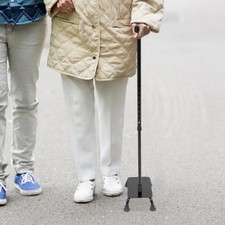 Stair Climbing Cane Half Step