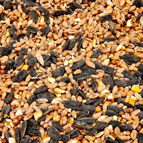 Wild bird food 2kg seed - bird,