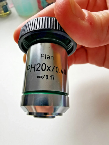 Phase contrast microscope - phase,