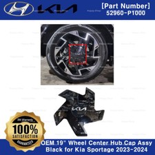 OEM 52960P1000 19" Wheel