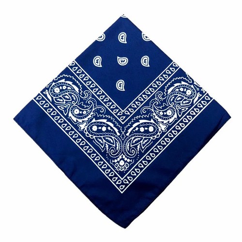 Bandana paisley print 100 - paisley,