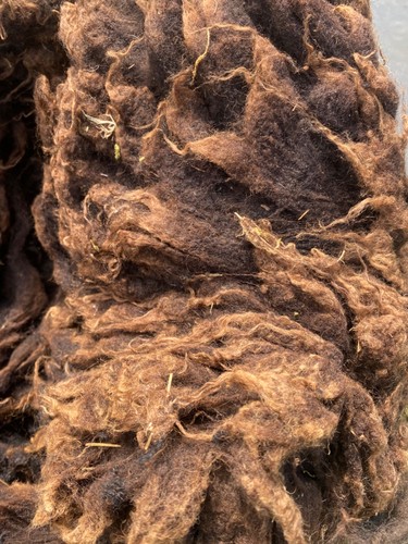600g dark brown raw shetland - dark,