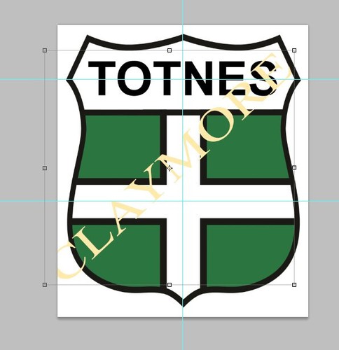 Totnes devon car sticker - totnes,