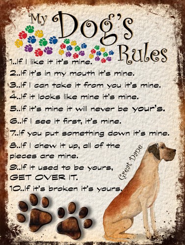 Dog rules retro - dog's,