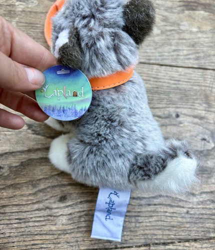 Lapland baby kloppi husky - baby,