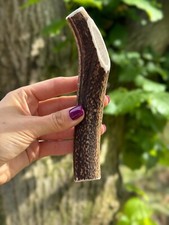 Wild Red Deer Antler Dog Chews Long Lasting - 100% Natural Best Chew