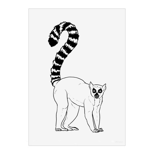 Ring tailed lemur unframed - 'ring-tailed, lemur'