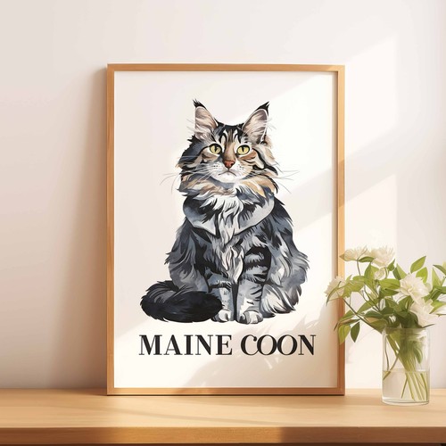 Maine coon cat - coon,
