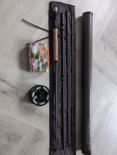 Wychwood rs2 10ft - 10ft, rod