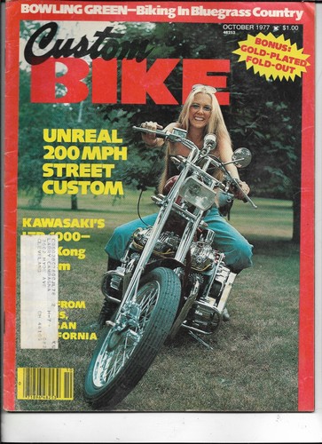 Custom bike - custom,