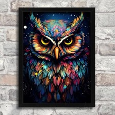 Owl Wall Art Colourful Owl
