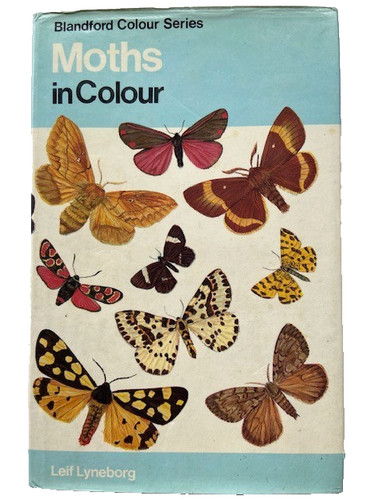 Moths colour 1976 - moths,