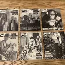 Mind Alive Learning Programmes