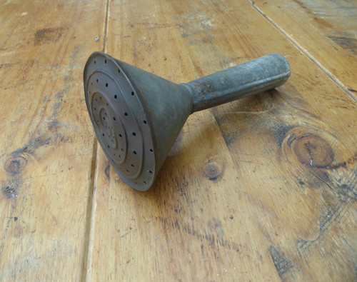 Vintage watering can rose