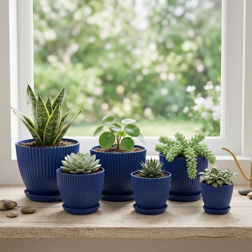 Plastic plant pots with - plant,