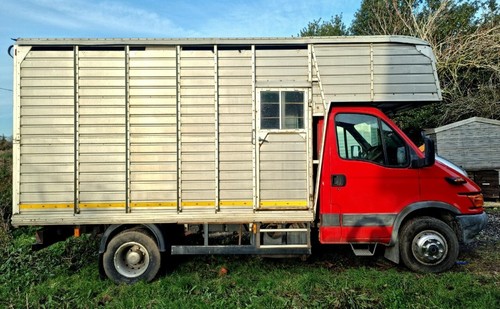 Iveco horsebox massive - 6.5t,