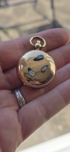 Metal sovereign case insect - sovereign,