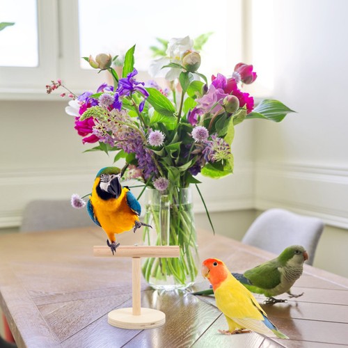 Parakeets stand bird parrot - bird,