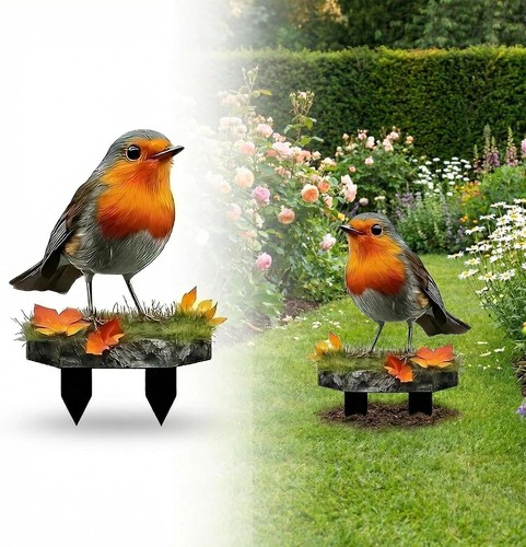 Vivid robin bird - vivid, figure