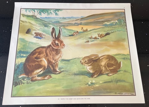 Vintage 1950s enid blyton - vintage,