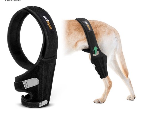 Lyderpet dog knee - lyderpet,