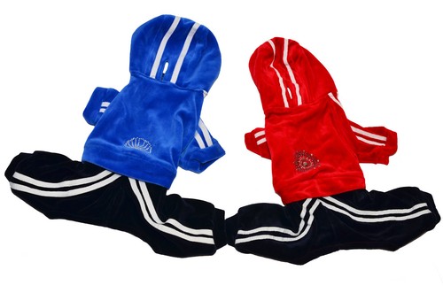 Dog puppy tracksuit overall - dog,