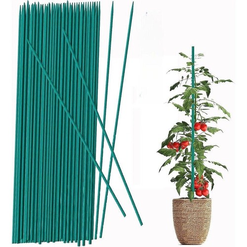 Green flower sticks bamboo - flower,