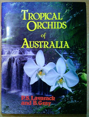 Lavarack gray b tropical - &,