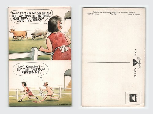 Vintage comic postcard - vintage,