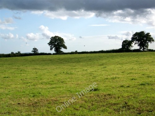 Photo 6x4 grazing land near - photo,