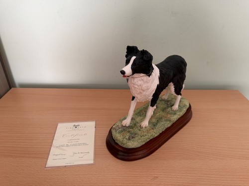 Border fine arts 1099 - border,