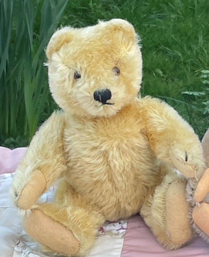 Beautiful old 1950s steiff - beautiful,