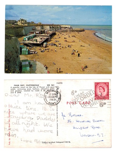 Vintage postcard palm bay - palm,
