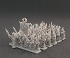 Undead 1000pt Starter Army -