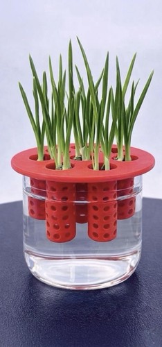 Hydroponic plant propagation - hydroponic,