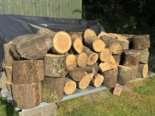 Large hardwood logs - hardwood, (ash)