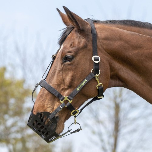 Greenguard grazing muzzle - greenguard,
