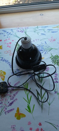 Black enamel inch lamp - enamel,