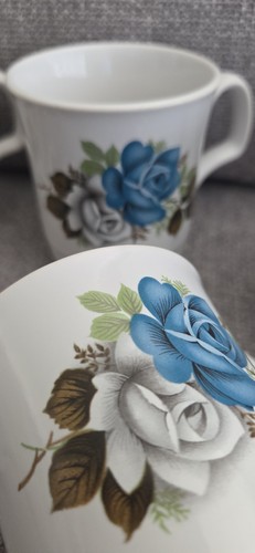 Set vintage english - 5, bone