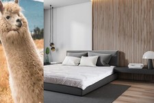 Luxury Alpaca Wool Duvet