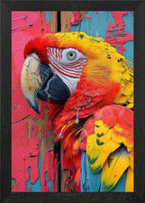 Scarlet Macaw Portrait Framed