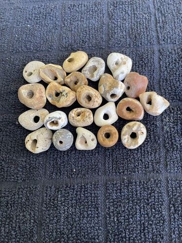 Twenty natural hag stones - natural,