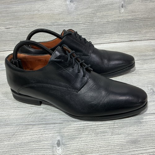 Wolf and shepherd - wolf, oxfords